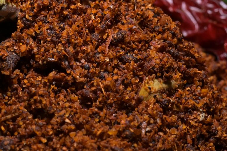 Guntur Chilli Powder